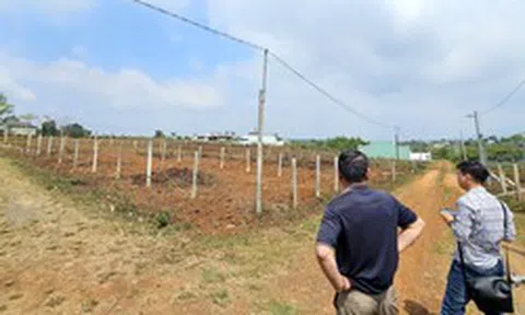 Mua bán đất ở Gia Lai diễn biến phức tạp