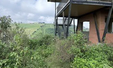 Chuyên gia nêu lý do đất nền phân lô bán cắt lỗ vẫn không có người mua