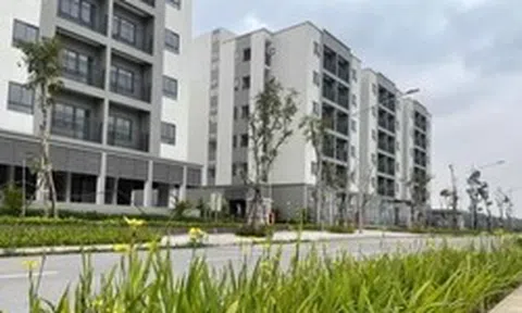 Hà Nội mở bán căn hộ NƠXH giá dưới 1 tỷ đồng/căn