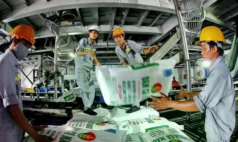 Giá phân bón tăng mạnh: Doanh nghiệp 'kẻ khóc, người cười'