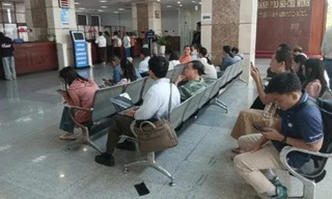 Doanh thu hộ kinh doanh miễn thuế nên được tính sát với lợi nhuận