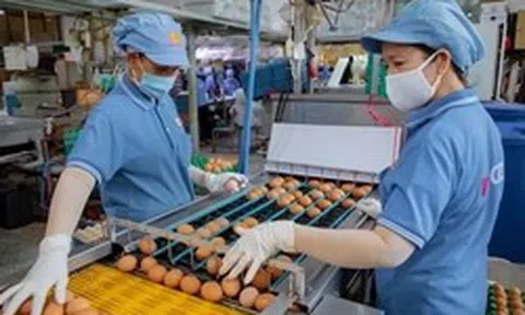 ‘Nghẹt thở’ vay vốn ngân hàng
