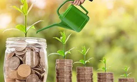 Một công ty chốt ngày trả cổ tức tiền mặt tỷ lệ 20,22%