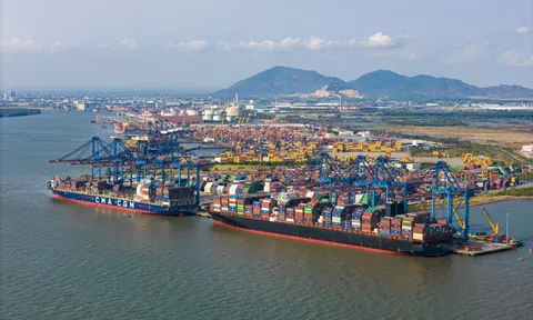 Thương mại Việt Nam - Ấn Độ lập đỉnh, mục tiêu cán mốc 20 tỷ USD