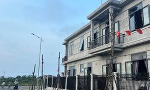 Cây xanh chết hàng loạt tại khu đô thị mới ở TP Huế: Chủ đầu ra "biện pháp mạnh"