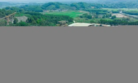 MSR hướng đến tăng trưởng dài hạn sau giai đoạn phục hồi