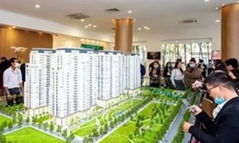 Quy định đánh đố, nghịch lý 'cải lùi' giữa thời đại số hóa toàn diện