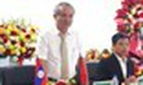 “Bắt tay” với một địa phương Lào, Bầu Đức muốn trồng 5.000 ha sản vật tỷ USD của Việt Nam