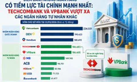 Điểm danh những ngân hàng có tiềm lực tài chính mạnh nhất Việt Nam: Techcombank, VPBank vượt xa MB và các ngân hàng tư nhân khác