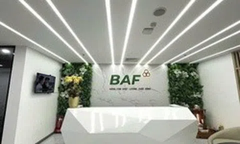 Baf Việt Nam nhận chuyển nhượng 25% vốn góp một doanh nghiệp chăn nuôi tại Gia Lai