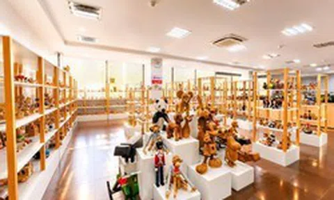 Nhà sản xuất đồ chơi gỗ Nam Hoa thành lập công ty đầu tư vào bất động sản công nghiệp và nhà xưởng cho thuê