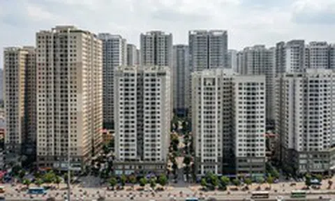 Viha Flora và chuẩn sống xanh theo chiều dọc: Khi thiên nhiên “dệt” tầng không