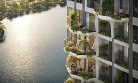 Đột phá trong thiết kế trải nghiệm sống trên cao tại Forest Onsen