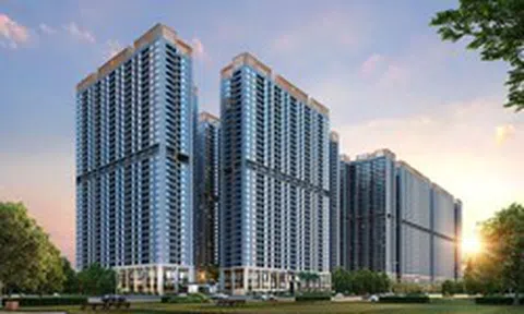 Thiết kế căn hộ vì sức khỏe: Tối ưu giá trị sống trên từng mét vuông