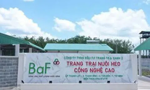 Baf Việt Nam chốt quyền nhận cổ phiếu thưởng và cổ tức tổng tỷ lệ 20%