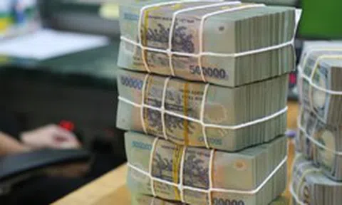 NHNN tiếp tục hút ròng, lãi suất qua đêm giảm về 4,9%/năm