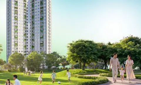 Viha Flora và chuẩn bàn giao hạng A: Giá trị thật nằm ở những chi tiết nhỏ