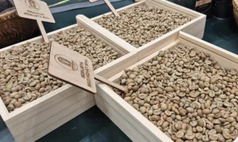 Giá cà phê hôm nay, 24-6: Arabica tăng nóng