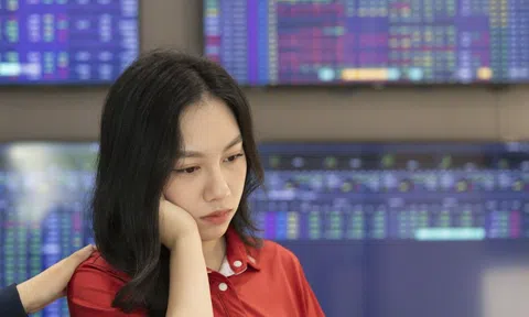 VN-Index giảm mạnh nhất nửa tháng