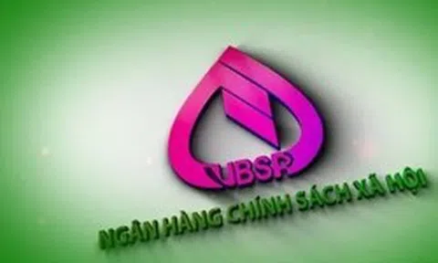Thủ tướng bổ nhiệm Tổng Giám đốc Ngân hàng Chính sách xã hội