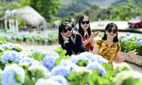 'Bản giao hưởng Xanh' là thương hiệu chung của Lâm Đồng