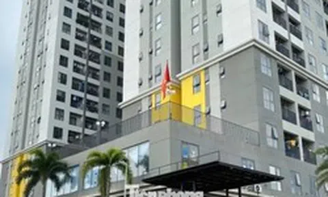 Hàng ngàn căn hộ chung cư, nhà liền kề được cấp sổ