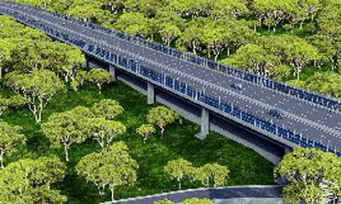 Việt Nam đang xây dựng tuyến đường xuyên rừng nguyên sinh dài 13km, kết nối cầu Mã Đà với Vành đai 4 TP.HCM, lần đầu tiên áp dụng một công nghệ đặc biệt