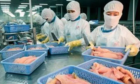 Trưởng Thương vụ Việt Nam tại Mỹ thông tin về ngành hàng xuất khẩu tỉ USD nguy cơ bị điều tra