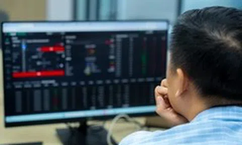 Nhà đầu tư khóc ròng khi 'cố vấn mạng' chỉ vẽ bốc trời rồi lặn mất tăm