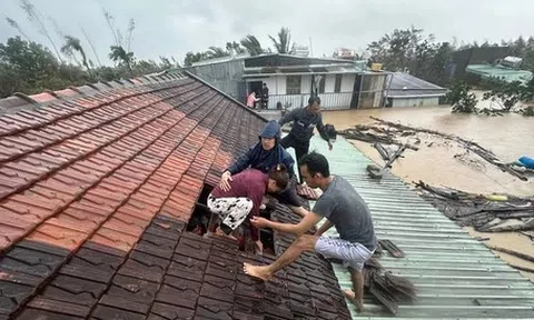 Phó thủ tướng: Mưa lũ mà để dân phải lên nóc nhà kêu cứu sẽ truy rõ trách nhiệm