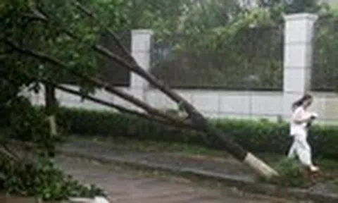 Bão Ba Vì suy yếu thành bão nhiệt đới sau khi đổ bộ vào Trung Quốc