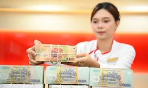 Cổ phiếu 'giá trà đá', doanh nghiệp ở Thái Nguyên trả cổ tức gấp gần 3 lần thị giá