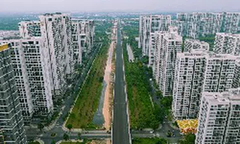 Hiện tượng mới trên thị trường TP.HCM: Giá nhiều căn hộ bằng nhà ở thấp tầng