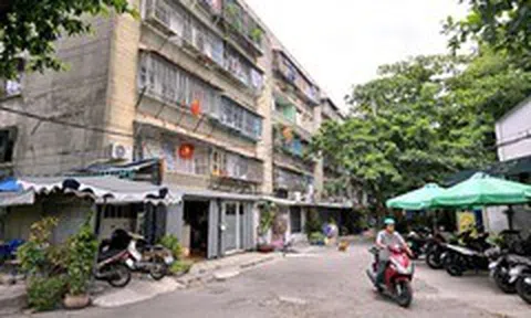 UBND TP.HCM 'thúc' hoàn thành kiểm định chung cư cũ cuối tháng 7-2026