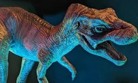 Khủng long bạo chúa T. rex đẻ nhiều như gà, con non mới nở bé như con mèo