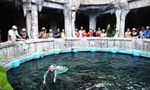 Quy hoạch đảo Trí Nguyên, Hòn Tằm ở Nha Trang: Tập trung phát triển du lịch biển đảo