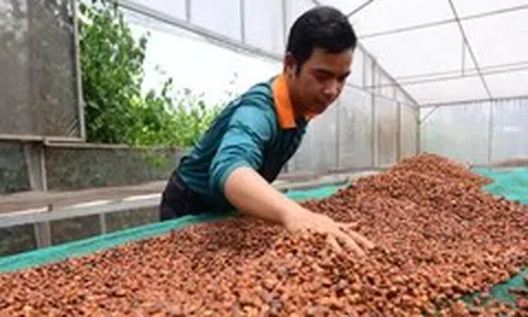 Có chưa đến 50 doanh nghiệp nông nghiệp công nghệ cao, nông nghiệp Việt cần gì để cất cánh?