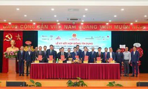 Vietcombank, Vietinbank, BIDV, Agribank, VPBank, TPBank rót hơn 27.000 tỷ cho vay dự án do Tập đoàn Đèo Cả, Tasco, CII làm chủ đầu tư