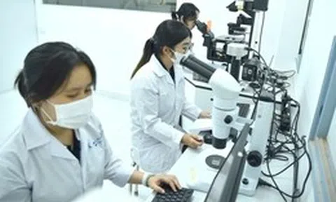 Tin tức sáng 22-7: TP.HCM thu hút người tài năng; Tăng trợ cấp với quân nhân phục viên, xuất ngũ
