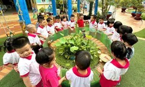 Tin tức sáng 26-7: TP.HCM tăng kiểm soát bán hàng đa cấp; Đổi mới quản lý chất lượng giáo dục