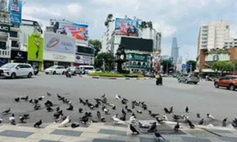Là nơi trở về...