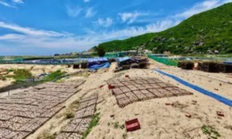 Cung đường ven biển đẹp nhất Phú Yên bốc mùi vì sơ chế mực xà