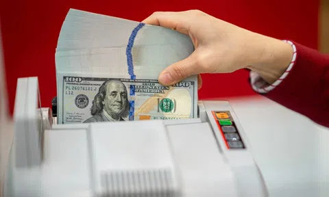 Tỷ giá trung tâm USD/VND cao kỷ lục