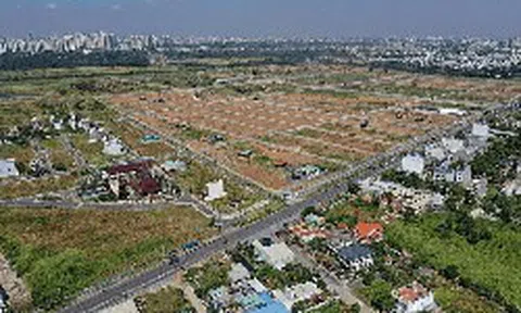 Từ ngày 31/8, tự ý chuyển đất trồng lúa sang đất ở có thể bị phạt tới 400 triệu đồng