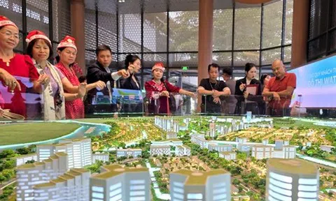 Bác sĩ, luật sư, môi giới bất động sản sẽ bị rà soát thuế trong bao nhiêu năm?