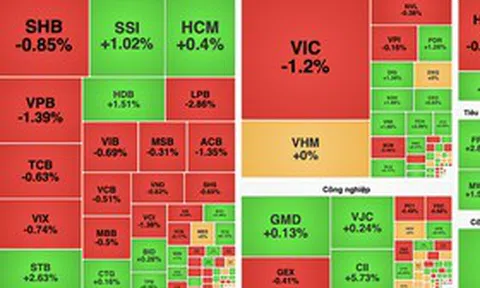 VN-Index giằng co, dòng tiền thận trọng trong phiên 17/8