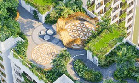 Phát Đạt lãi 505 tỷ đồng trên 158 tỷ đồng doanh thu: Tiền đến từ đâu?