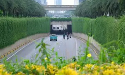 Hà Nội thí điểm phủ xanh trụ cầu đường sắt, hầm chui và nhà chờ xe buýt