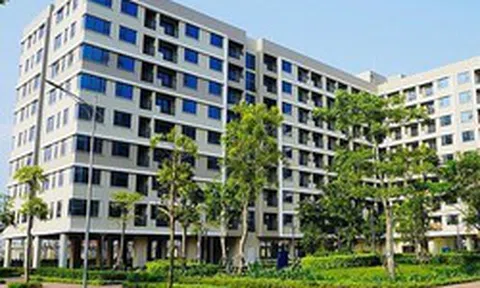Một doanh nghiệp được giao hơn 2.400m2 đất để làm dự án nhà ở xã hội Liên Hà