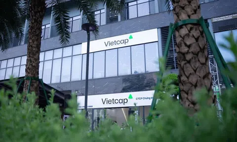 Quỹ đầu tư liên quan bà Nguyễn Thanh Phượng bán hết cổ phiếu Vietcap